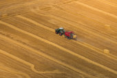 Harvest, Marlborough Downs