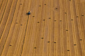Harvest, West Kennet