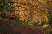 Green Lane, Morgan's Hill