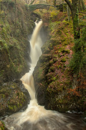 Aira Force