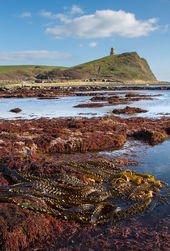 Kimmeridge Bay