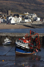 Lyme Regis harbour