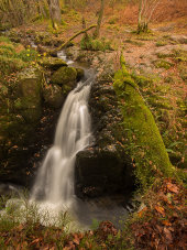 High Force