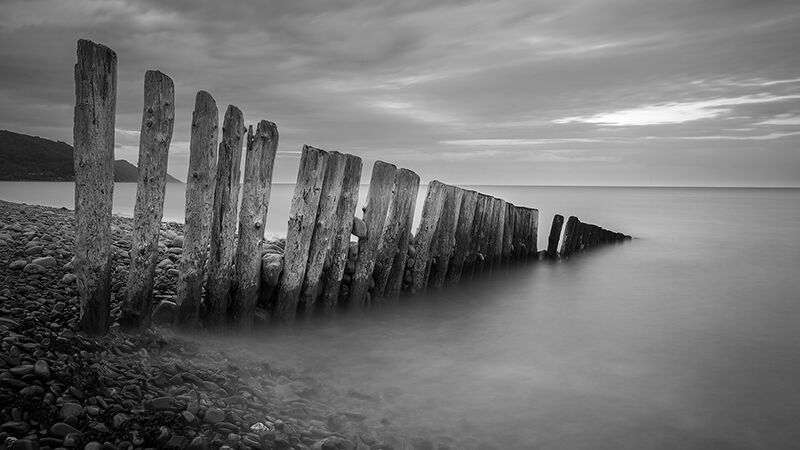 Last Groyne Standing
