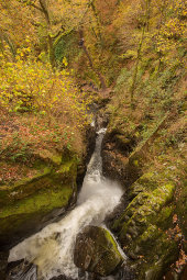 Aira Force