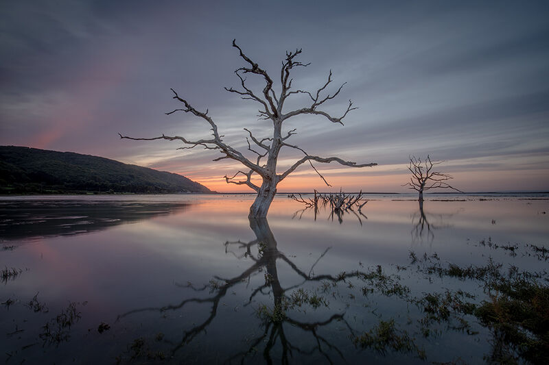 High spring tide in Porlock Salt Marsh