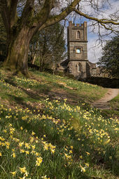 Dora's Field, Rydal
