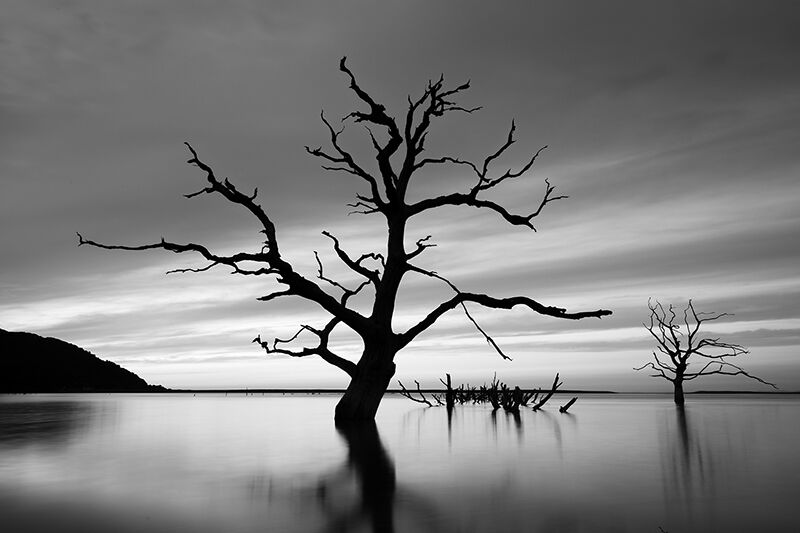 Rising Tide