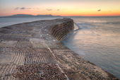 Cobb at dawn