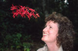 Tropical Wild Flowers in Nature and the Garden