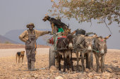 Donkey Cart