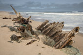 Shipwreck