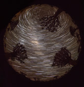 Quiver Trees and Star Trails