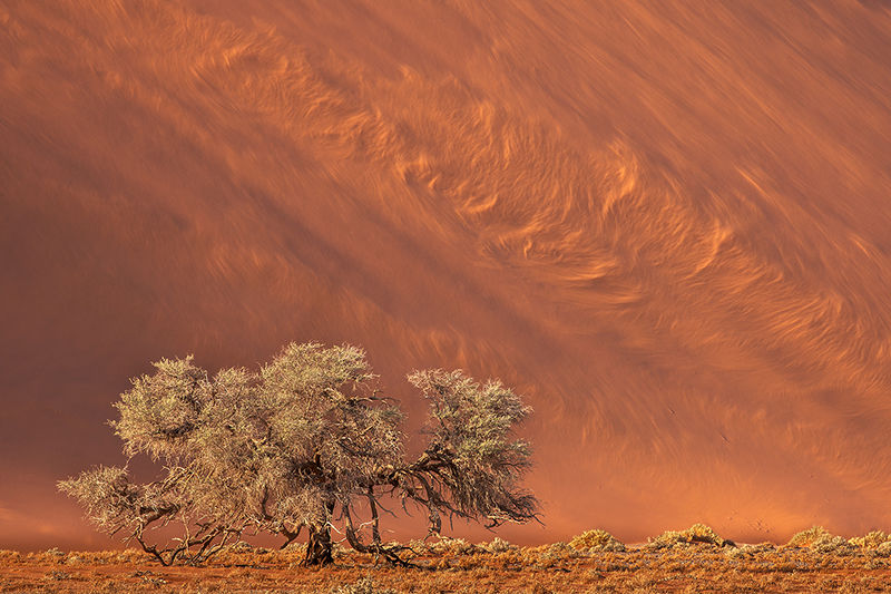 Sandstorm, Namib Desert