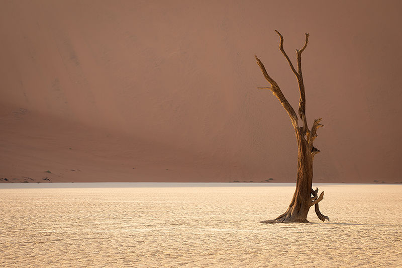 First Light in Deadvlei