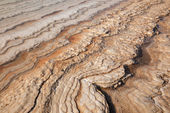 Dead Sea shoreline