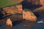 Ladram Bay