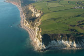 Beer Head