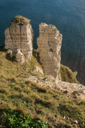 Beer Head
