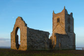 Burrow Mump