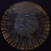 Star Trails, Salisbury Plain