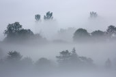 Misty Somerset Levels
