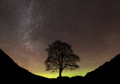 Aurora Sycamore Gap