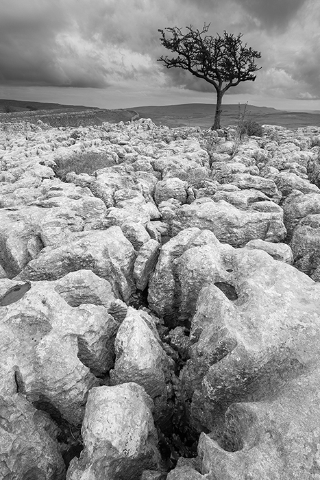 Conistone Limestone pavement
