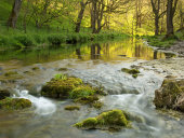 Lathkill Dale