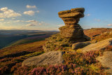 Salt Cellar
