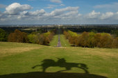 Windsor Great Park