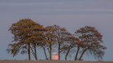 Perigee Full Moon