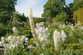 White Garden, Sissinghurst