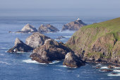 Hermaness coast, Shetland