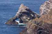 Hermaness coast, Shetland