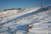 Cherhill Down