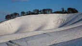 Cherhill White Horse