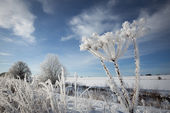 Hoar frost, Avebury
