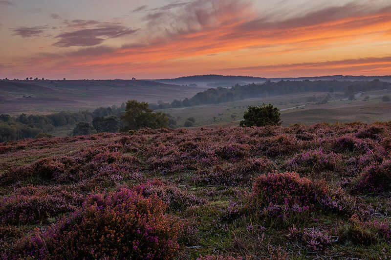 Rockford Common at Dawn