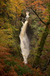 Aira Force