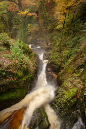 Aira Force