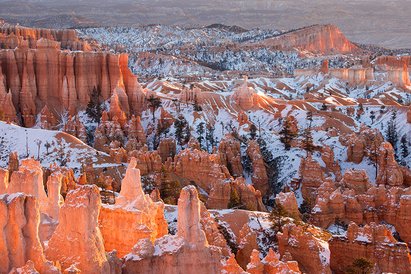 Bryce Amphitheatre in winter