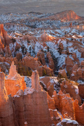 Hoodoos at dawn