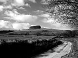 Country Lane