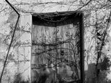 Door and Shadow