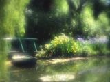 In Monet's Water Garden