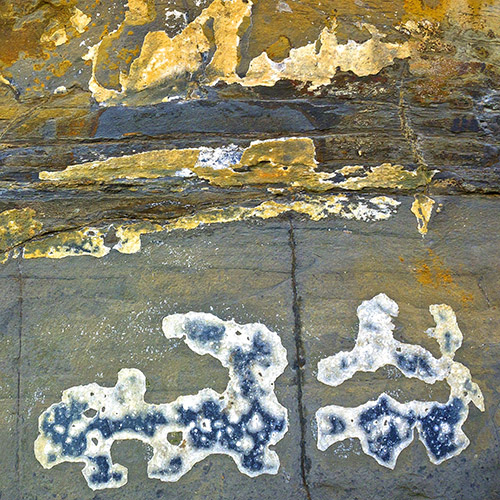 Jurassic Art