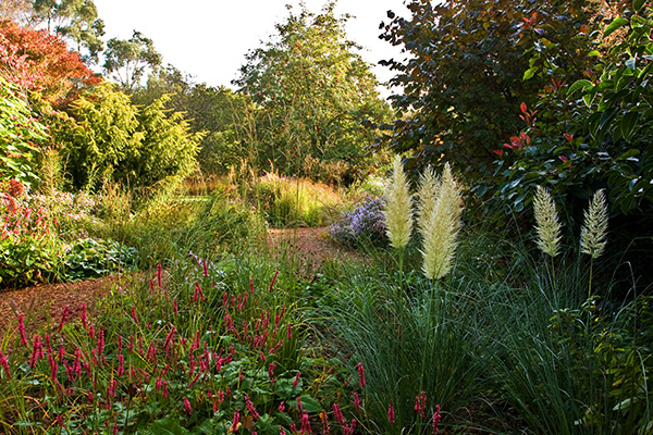 Knoll Gardens, Specialist Grasses