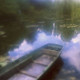 Monet's Water Garden