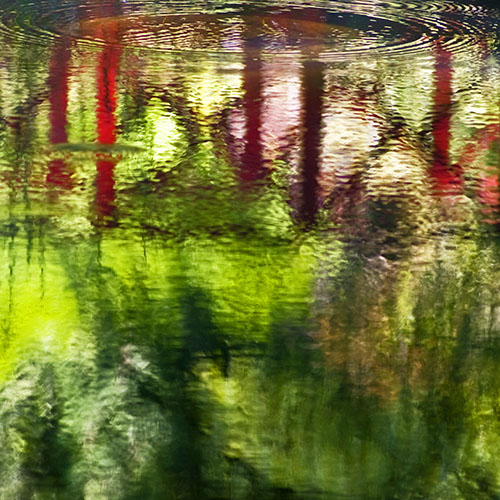 Reflections_Streamside